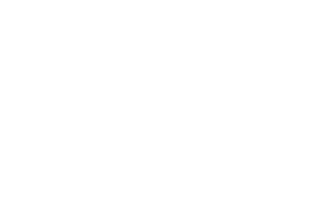 Professional Ambitions Logo-02
